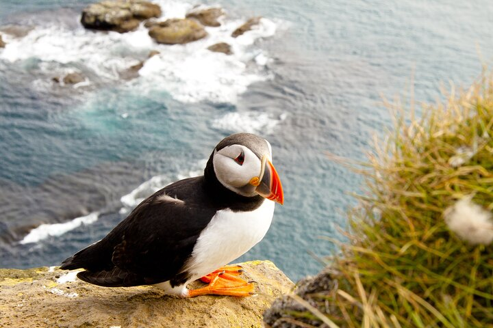 North East Coastal Trail Small Group Day Tour from Aberdeen - Photo 1 of 4